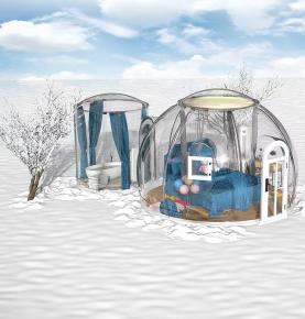 Glamping Dome Tent 6m Geodesic 5 m Igloo House Transparent PC Luxury Bubble Tent