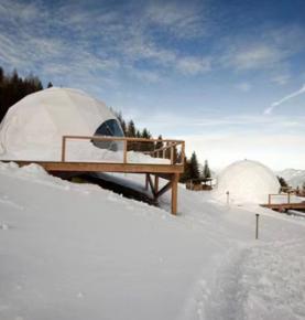 Starry Skylight Glamping Tent Resort ,Eco PVC Geodesic Dome Tent 